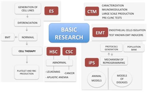 Basic Research Center .